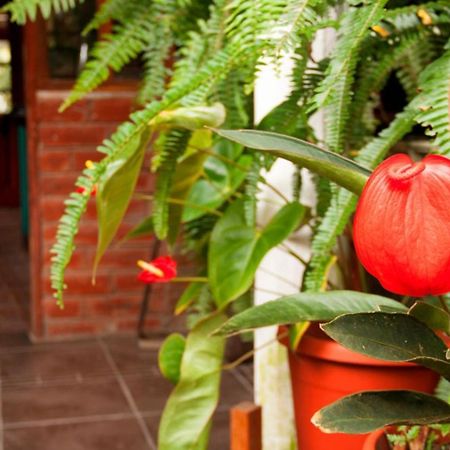 El Pedron Hotel Baños Eksteriør bilde